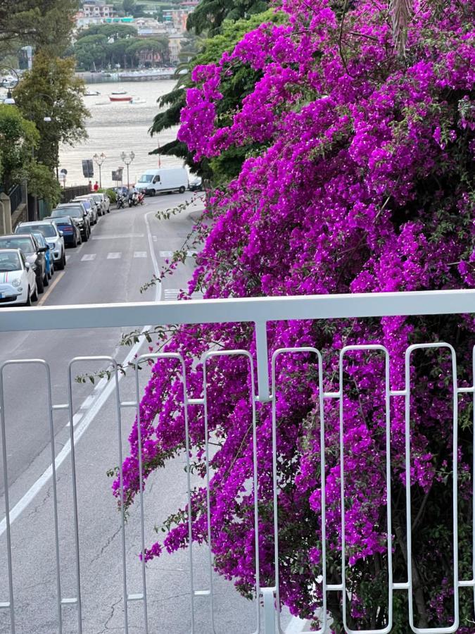 Welcome Riviera -Torre D'Avorio Appartamento 126 Mq Piu'Terrazzo25 Mq - Totalmente Rinnovato- 250 M Dal Centro - Parcheggio A Pagamento 15 Euro Al Giorno Da Prenotare In Anticipo Salvo Dispo -Parking At 15 Euro Per Day To Be Booked In Advance If Avai راباللو المظهر الخارجي الصورة